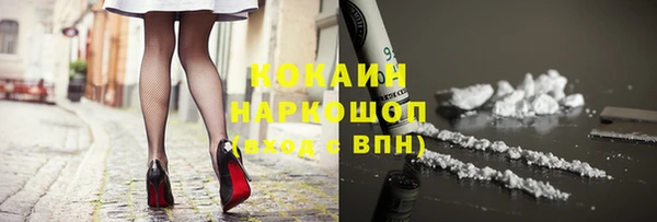 apvp Бородино