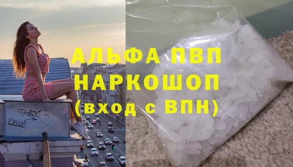 гашик Володарск