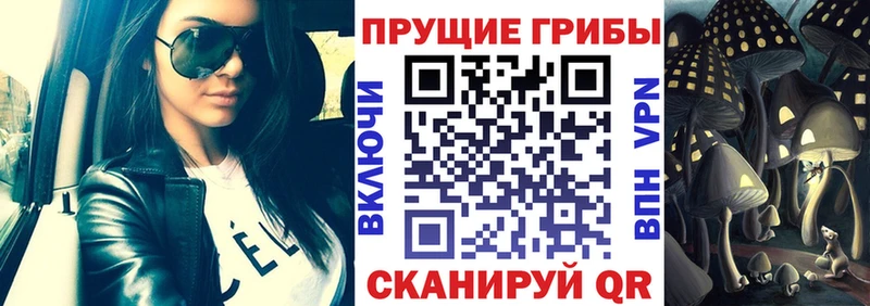 как найти закладки это формула Галлюциногенные грибы мухоморы Дегтярск